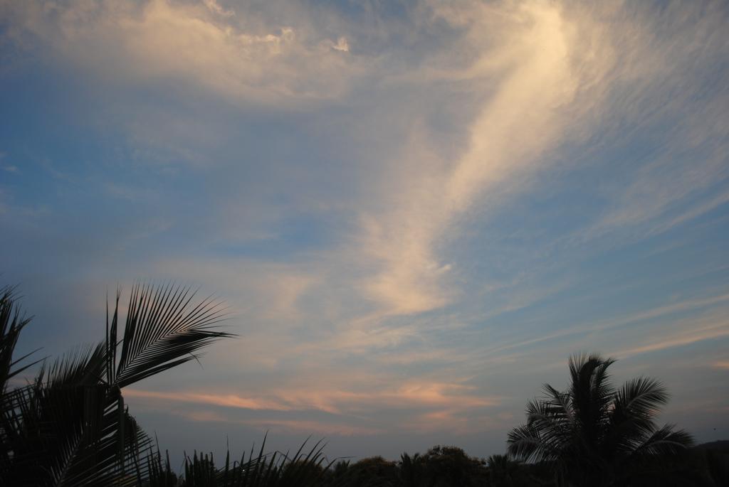 Vinodhara Guest House Mamallapuram Eksteriør billede